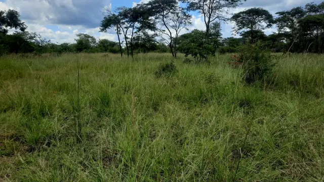 Farm for Sale
