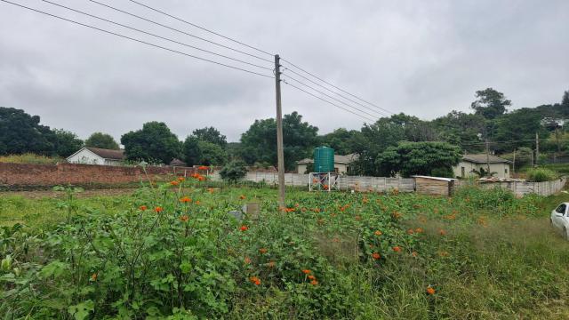 Stand for Sale in Quinnington