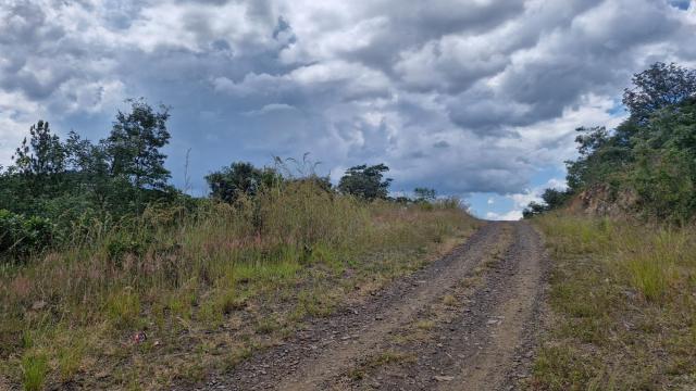 Stand for Sale in Glen Lorne