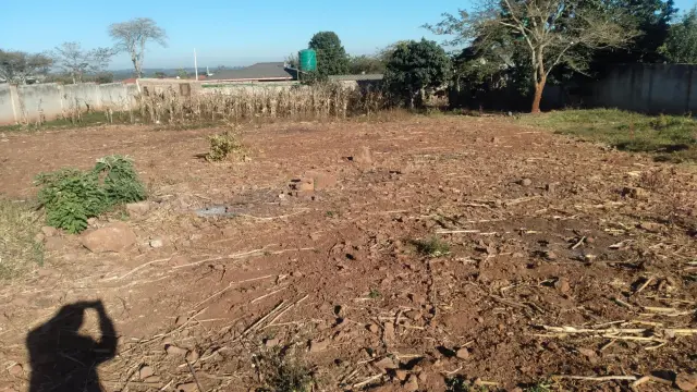 Stand for Sale