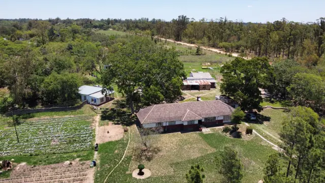 Farm for Sale
