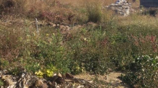 Stand for Sale in Mandara
