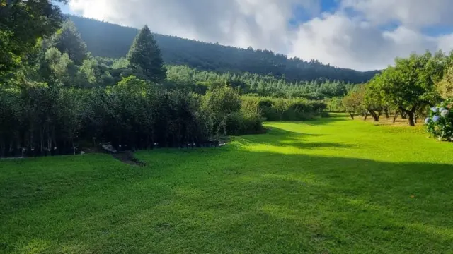 Land for Sale inJuliasdale