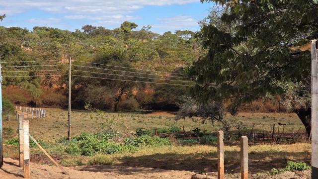 Stand for Sale in Glen Forest