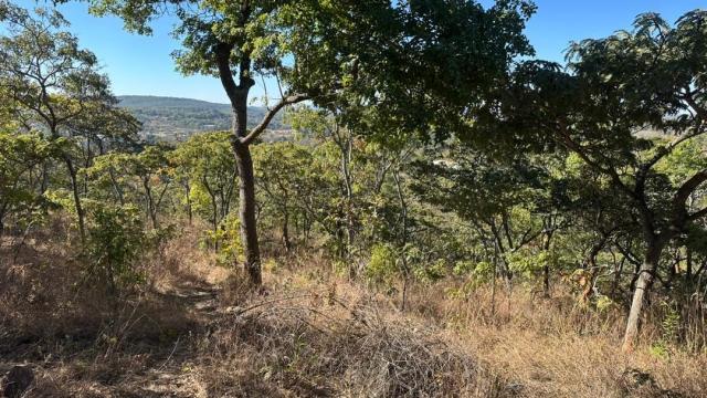 Stand for Sale in Glen Lorne