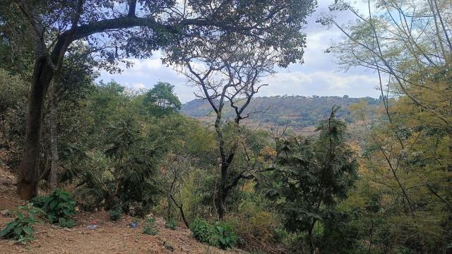 Stand for Sale in Shawasha Hills