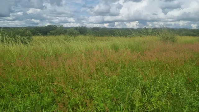Land for Sale inBeatrice