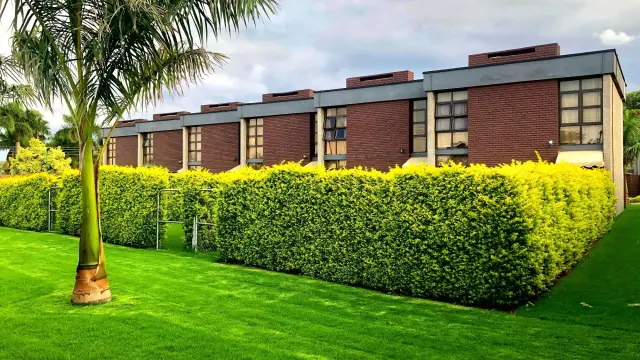 Townhouse/Complex/Cluster to Rent