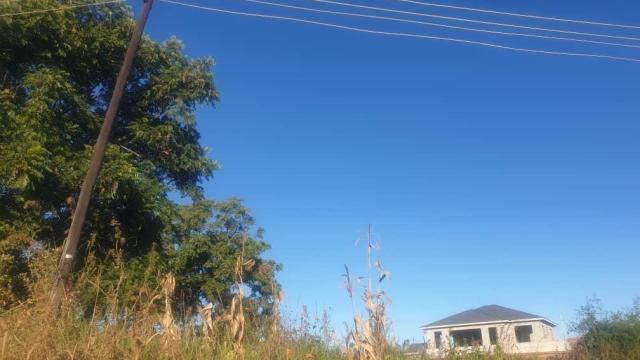 Stand for Sale in Hogerty Hill