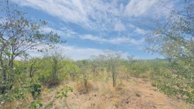 Stand for Sale in Victoria Falls