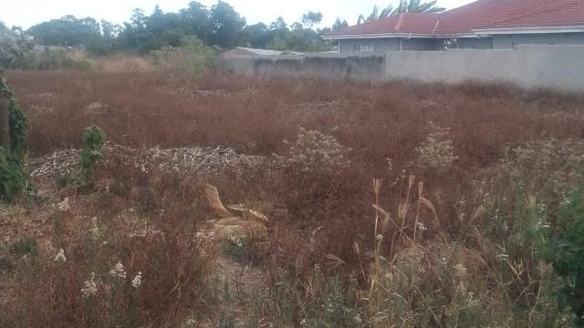 Stand for Sale in Chipukutu Park