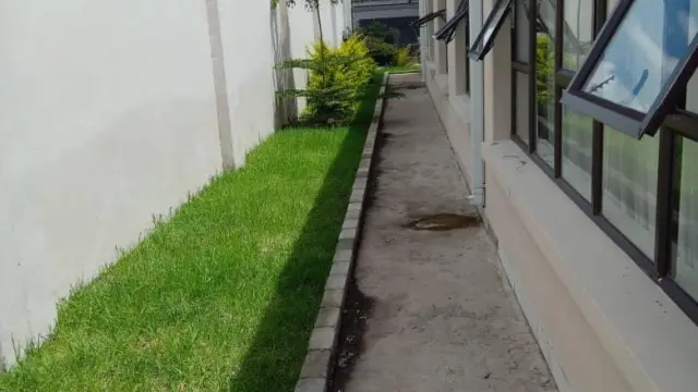 House to Rent