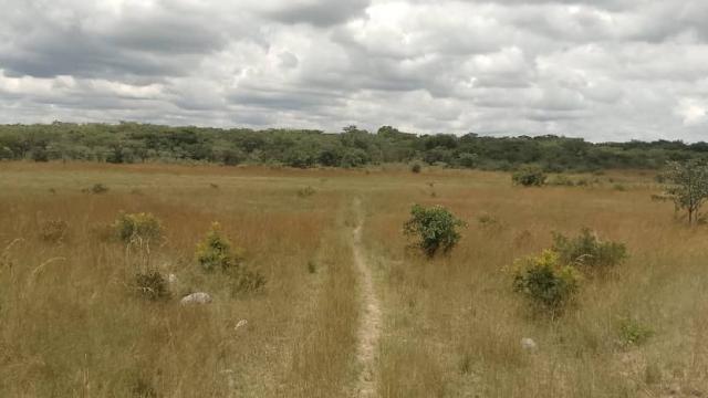 Stand for Sale in Mvuma