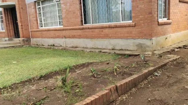Flat/Apartment to Rent