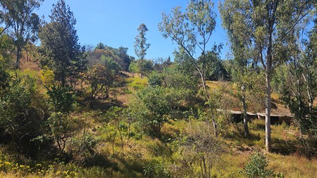 Stand for Sale in Greystone Park