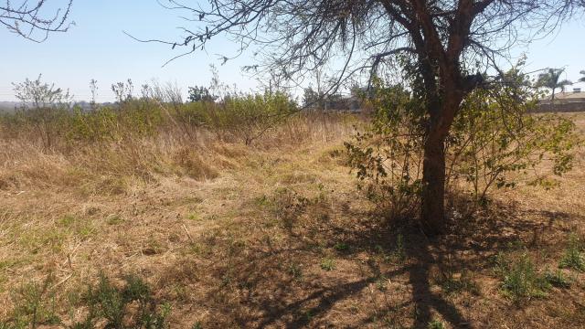 Stand for Sale in Crowhill Views