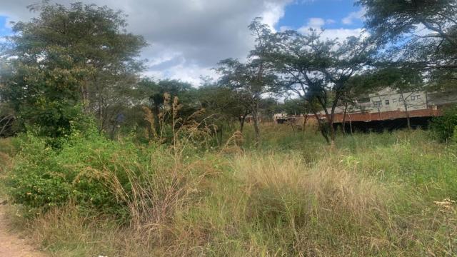 Stand for Sale in Gletwin Park
