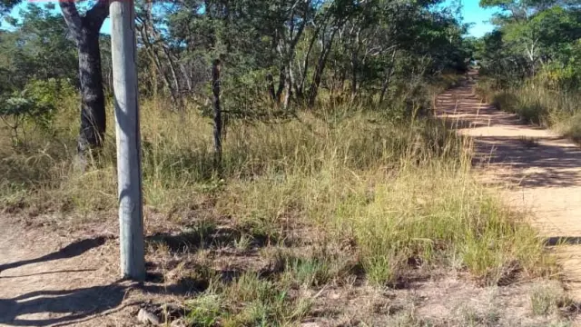 Farm for Sale