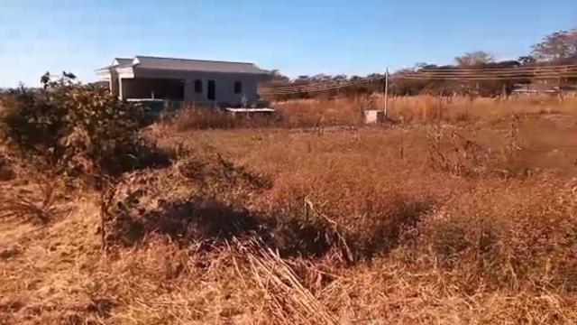 Stand for Sale in Gletwin Park