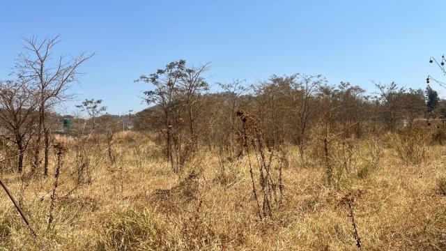 Stand for Sale in Glen Lorne