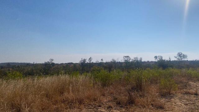 Stand for Sale in Claremont