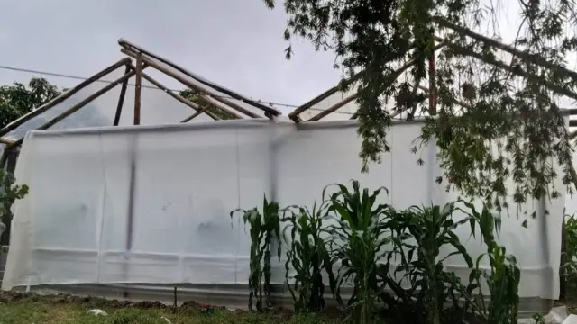 Farm for Sale