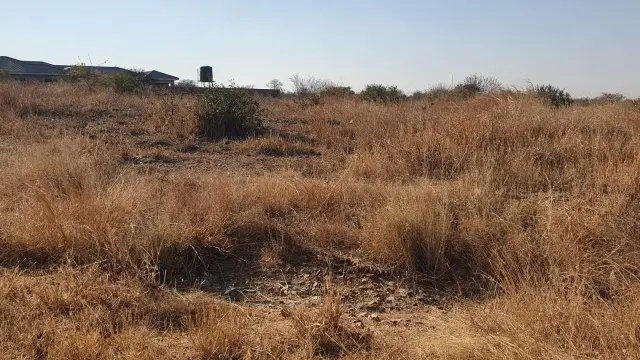 Land for Sale in Kings City