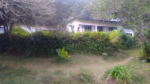 Commercial Property for Sale