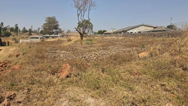 Stand for Sale in Hogerty Hill