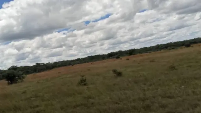 Farm for Sale