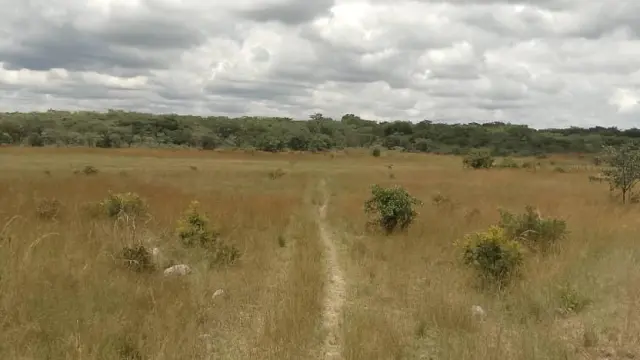 Farm for Sale inMvuma
