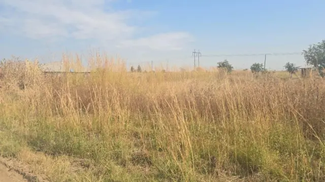 Residential Stand for Sale