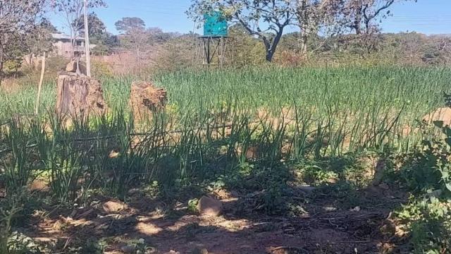 Stand for Sale in Gletwin Park