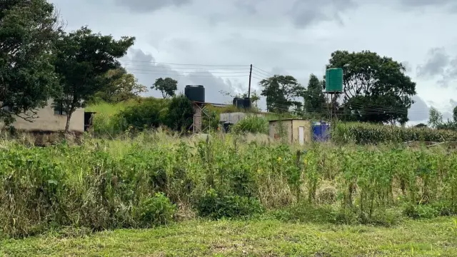 Farm for Sale