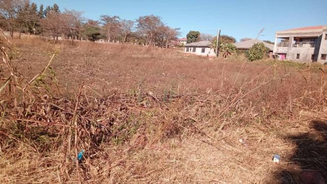 Stand for Sale in Gletwin Park