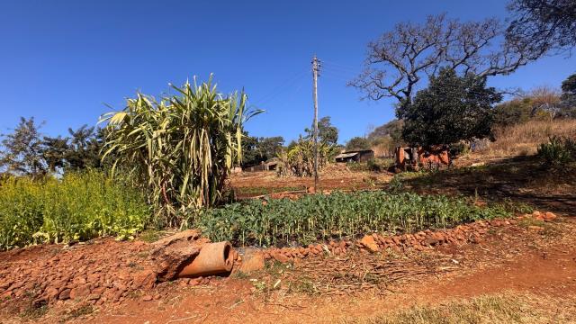 Stand for Sale in Borrowdale Brooke