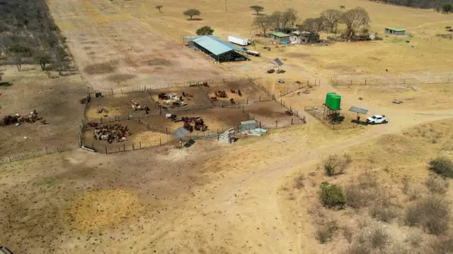 Farm for Sale