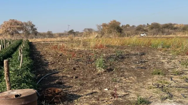 Land for Sale