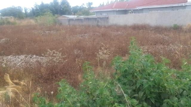 Stand for Sale in Zimre Park