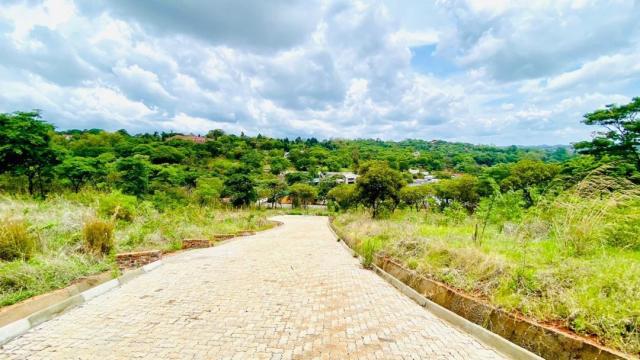 Stand for Sale in Hogerty Hill