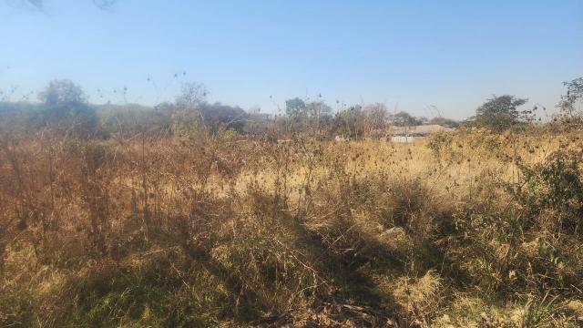 Stand for Sale in Bluff Hill
