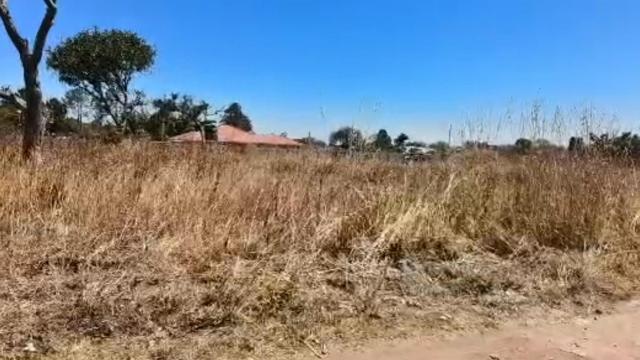 Stand for Sale in Hatfield