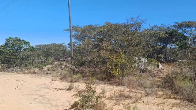 Farm for Sale inNyanga