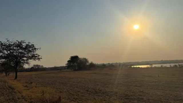 Farm for Sale