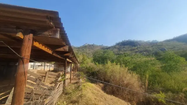 Farm for Sale