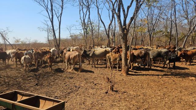 Stand for Sale in Gweru CBD