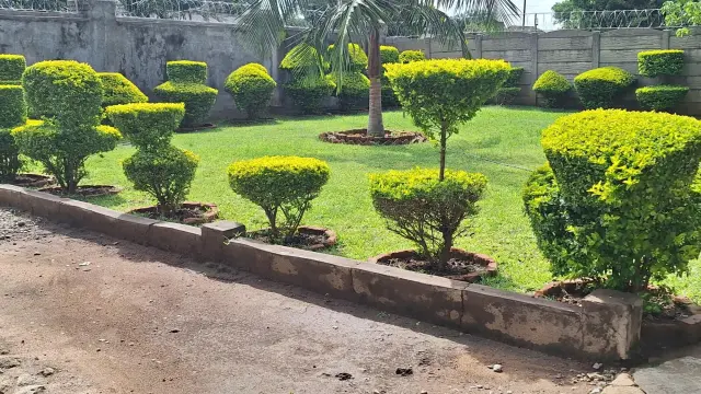 House to Rent