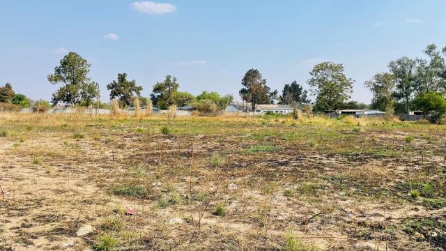 Stand for Sale in Hatfield