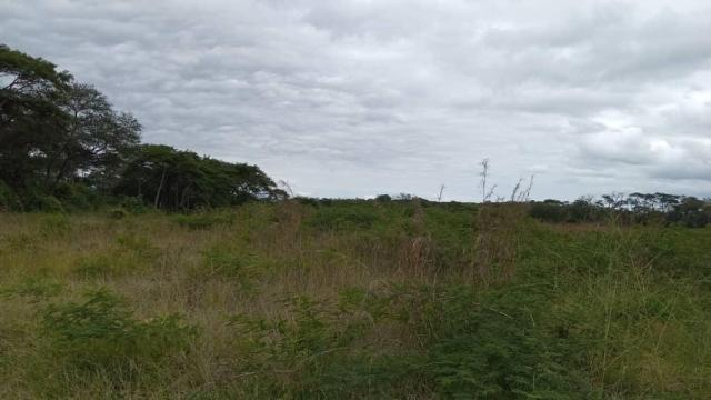 Stand for Sale in Westlea Mutare