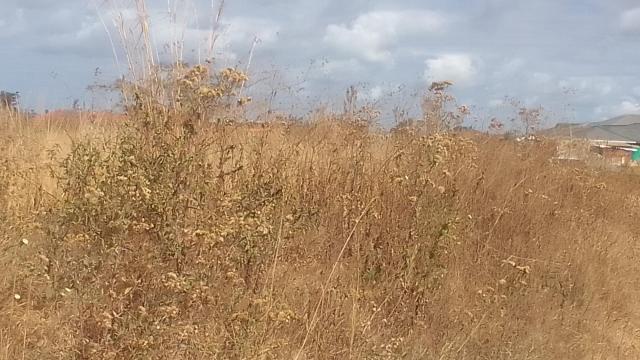 Stand for Sale in Nyabira